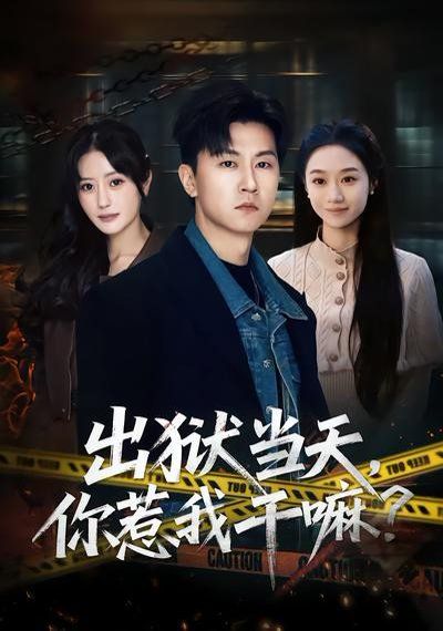 出狱当天，你惹我干嘛？(全集)