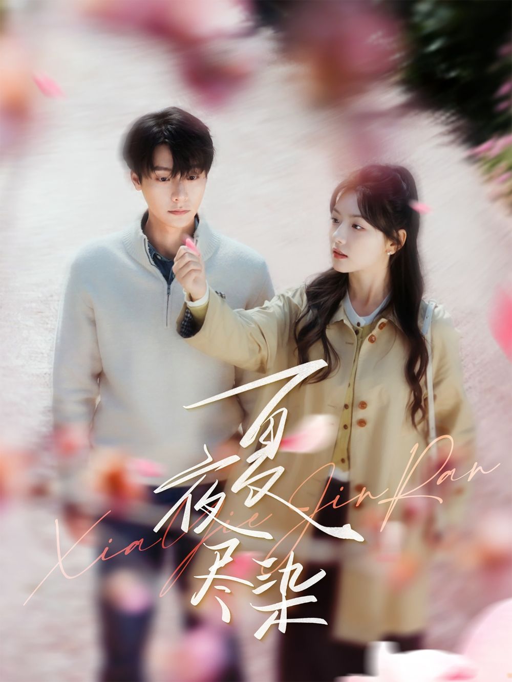 夏夜尽染(全集)