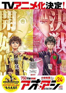 青之芦苇(全集)